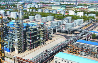 图 大庆炼化公司40万吨轻汽油醚化装置投产
